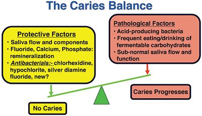 A Comparison of Four Caries Risk Assessment Methods